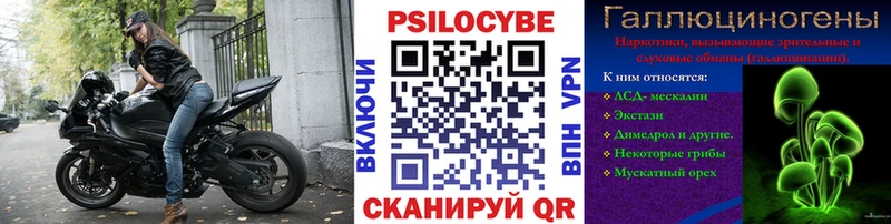 Псилоцибиновые грибы мицелий  OMG ссылка  Микунь  сколько стоит 